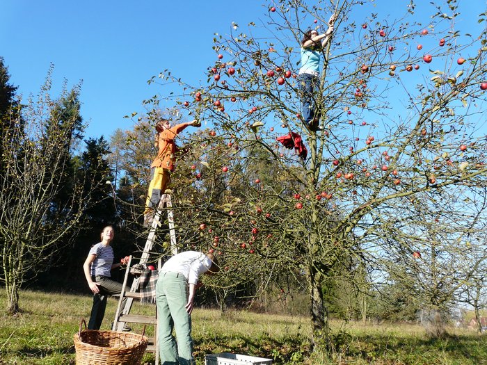 CAL 2008 rijen namorni akademie 25. 29.10. 06